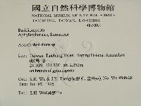 登錄號:F0020099藏品圖，第2張