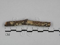 登錄號:F0020099藏品圖，第1張