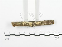 登錄號:F0020099藏品圖，第3張