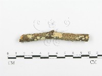 登錄號:F0020099藏品圖，第4張