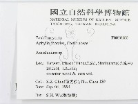 登錄號:F0020100藏品圖，第2張