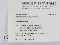 絲皮菌屬藏品圖，第2張