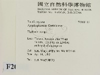 絲皮菌屬藏品圖，第2張