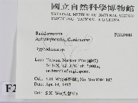 絲皮菌屬藏品圖，第2張
