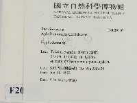 絲皮菌屬藏品圖，第2張