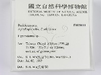 絲皮菌屬藏品圖，第2張