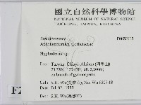 絲皮菌屬藏品圖，第2張