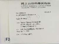 絲皮菌屬藏品圖，第2張