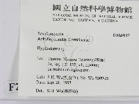 絲皮菌屬藏品圖，第2張