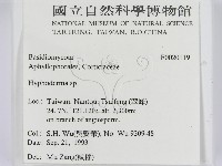 絲皮菌屬藏品圖，第2張