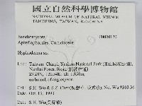 絲皮菌屬藏品圖，第2張