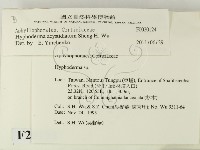 登錄號:F0020124藏品圖，第2張