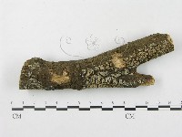 登錄號:F0020125藏品圖，第1張