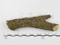 登錄號:F0020125藏品圖，第3張