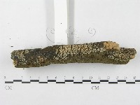 登錄號:F0020125藏品圖，第4張