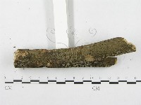 登錄號:F0020125藏品圖，第5張