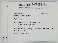 登錄號:F0020126藏品圖，第2張