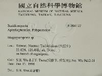 登錄號:F0020127藏品圖，第2張