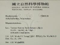 登錄號:F0020128藏品圖，第2張