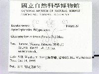登錄號:F0020129藏品圖，第2張