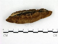登錄號:F0020129藏品圖，第3張