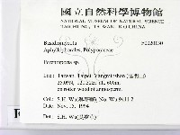多年臥孔菌屬藏品圖，第2張