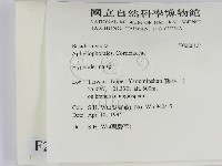 絲皮菌屬藏品圖，第2張