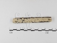 登錄號:F0020134藏品圖，第1張
