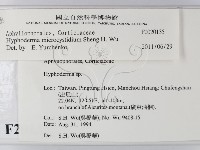 登錄號:F0020135藏品圖，第2張
