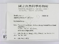絲皮菌屬藏品圖，第2張