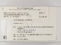 登錄號:F0020140藏品圖，第2張