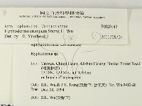 登錄號:F0020142藏品圖，第2張