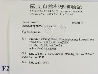 絲皮菌屬藏品圖，第2張