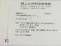登錄號:F0020150藏品圖，第2張