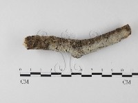登錄號:F0020153藏品圖，第1張