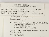 登錄號:F0020154藏品圖，第2張
