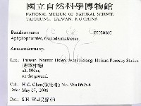假芝屬藏品圖，第2張