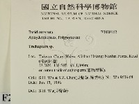 附毛菌屬藏品圖，第2張