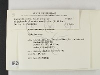 登錄號:F0020163藏品圖，第2張