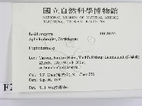 絲皮菌屬藏品圖，第2張