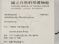 靈芝屬藏品圖，第2張