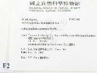 裂褶菌藏品圖，第2張