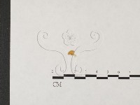 發光小菇藏品圖，第1張