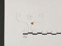 發光小菇藏品圖，第3張