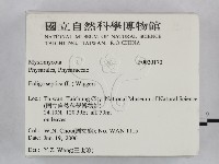 登錄號:F0020170藏品圖，第2張