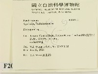 登錄號:F0020171藏品圖，第2張