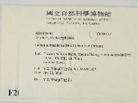 登錄號:F0020172藏品圖，第2張