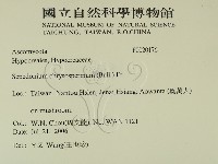 登錄號:F0020176藏品圖，第2張