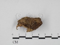 登錄號:F0020177藏品圖，第3張