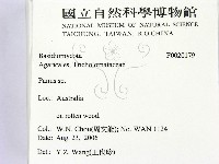 登錄號:F0020179藏品圖，第2張